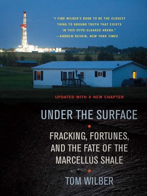 cover image of Under the Surface